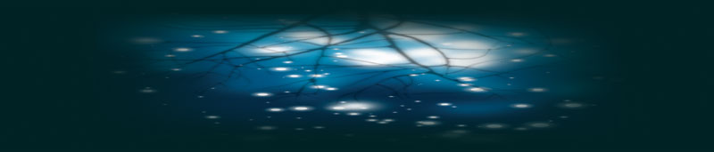 ����������� ������ "�a����"